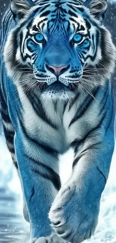 Blue Eyed Blue Tiger Walking In The Snow Live Wallpaper