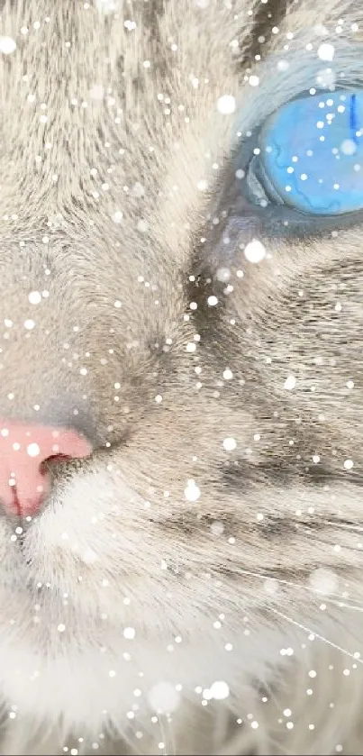 Close-up of a blue-eyed cat with detailed features and soft fur.