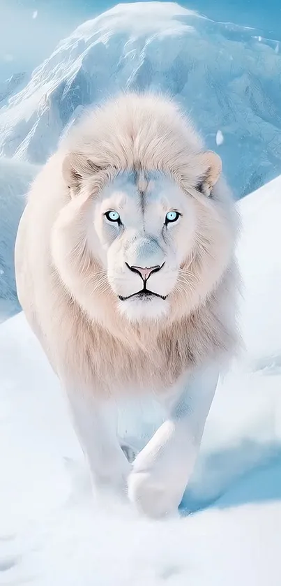 Blue Eyed White Lion Walking In The Snow Live Wallpaper