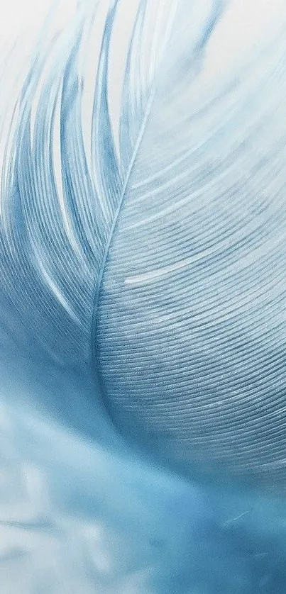 Close-up of a light blue feather texture for mobile wallpaper.