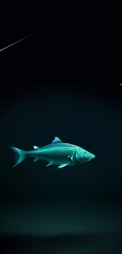 Minimalist wallpaper featuring a lone blue fish in a dark setting.