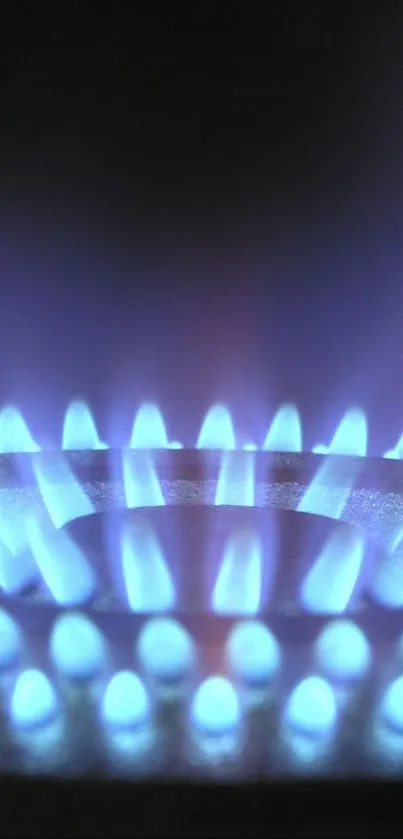 Close-up of a vibrant blue gas burner flame.