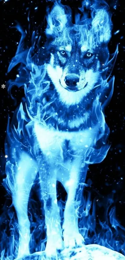 Fiery blue flame wolf mobile wallpaper showing a mystical wolf design.