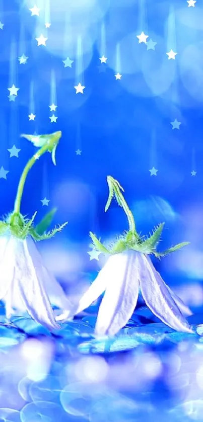 Blue floral bokeh wallpaper with delicate flowers.