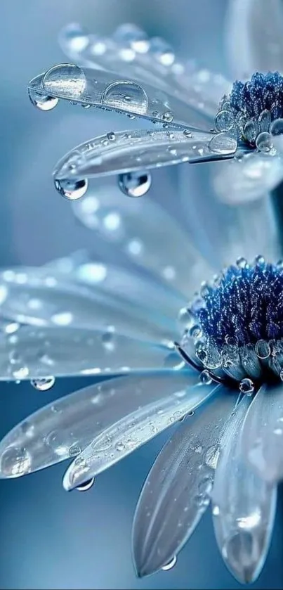 Serene blue flower with dewdrops, perfect phone wallpaper.