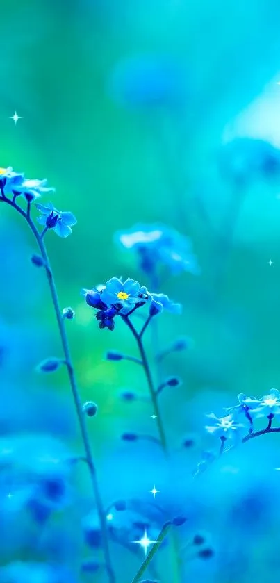 Blue forget-me-not flowers in a serene natural setting.