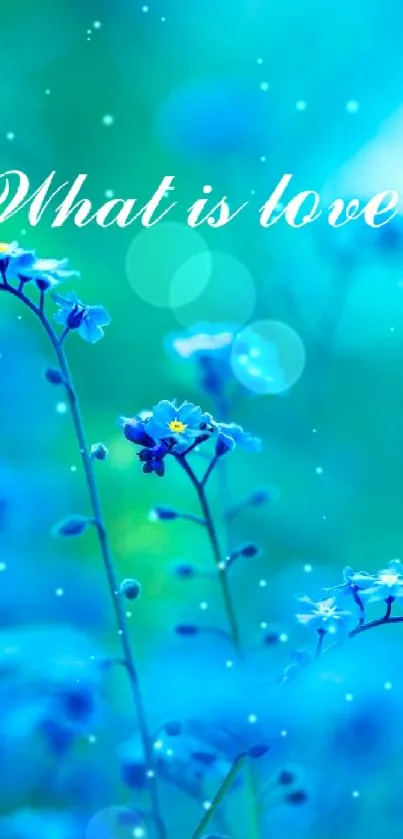 Blue flower wallpaper with 'What is love' text.