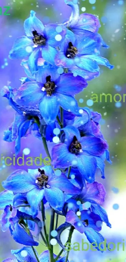 Blue flowers with text overlay, mobile wallpaper.