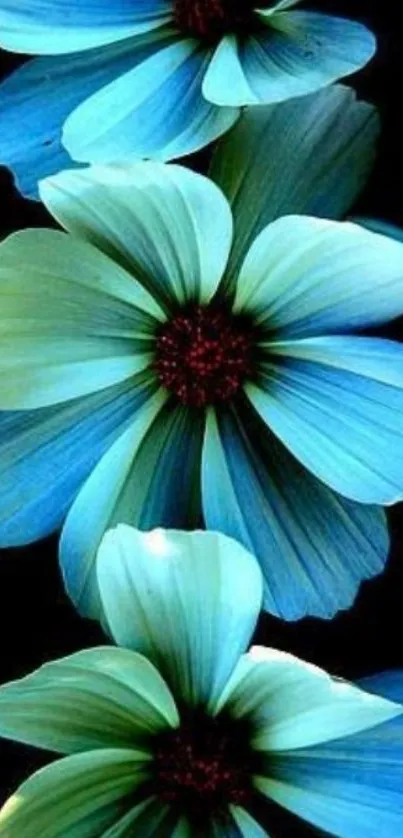 Vibrant blue flowers against a dark background, perfect for wallpaper.