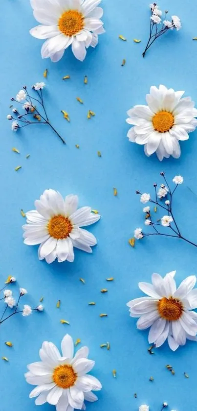 Blue background with white daisies and small flowers.