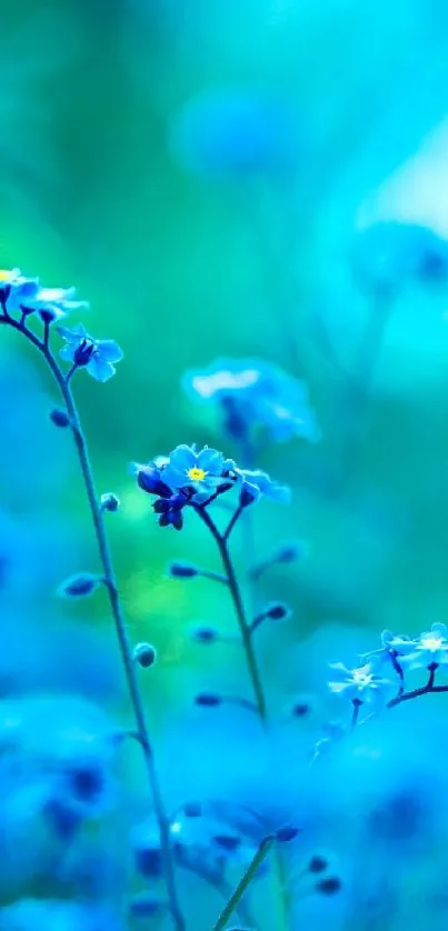 Vibrant blue flower closeup in nature-themed mobile wallpaper.