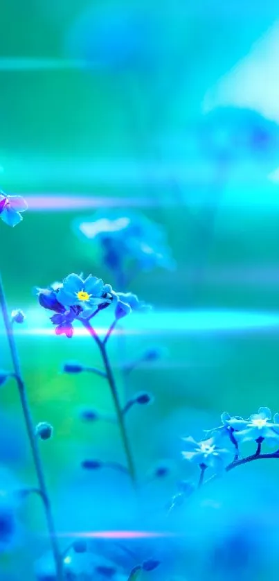 Vibrant blue flowers basking in sunlight on a soothing green background.