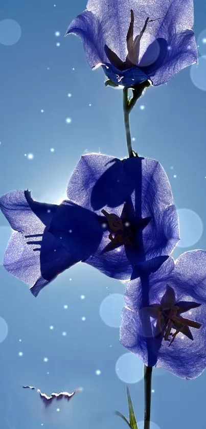 Delicate purple flowers with bokeh on a blue sky background. Peaceful and serene.