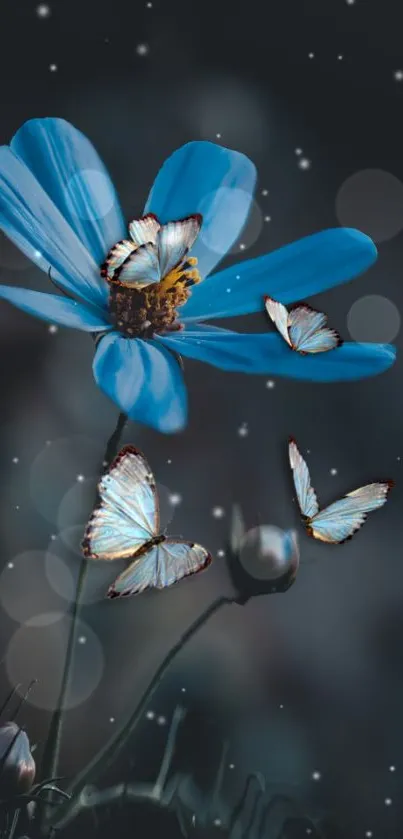 Blue flower with butterflies in a dark, serene setting.