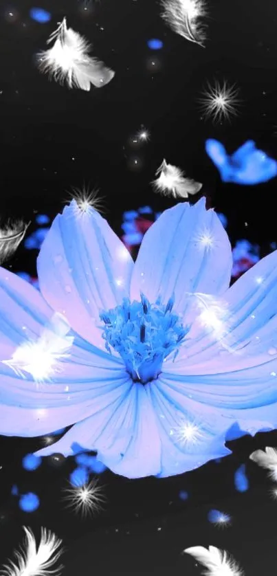 Blue flower and feathers on dark background wallpaper.