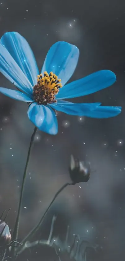 Blue flower amidst a cosmic starry night.