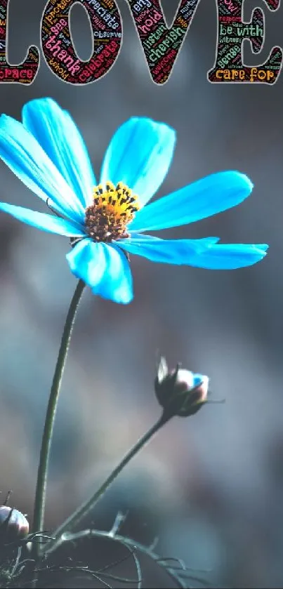 Blue flower with love text wallpaper for mobile phones.