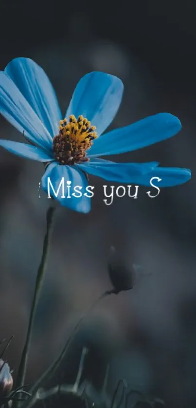 Blue flower with 'Miss you' text on dark background.