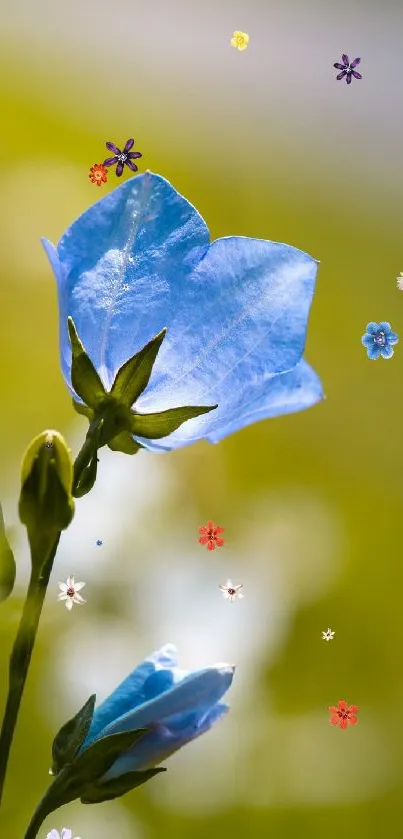 Blue flower on green background with tiny blossoms.