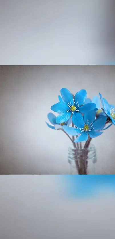 Blue Flower Petal Live Wallpaper