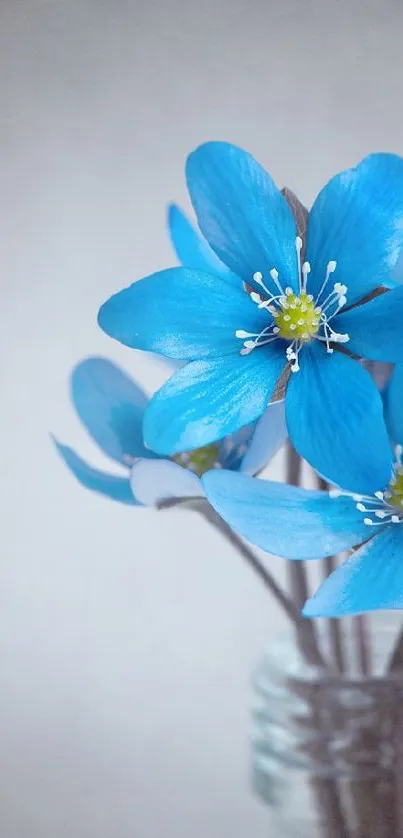 Blue flowers in a glass vase, creating a serene and elegant wallpaper design.