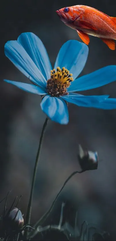 Blue flower with an orange fish on a dark background.