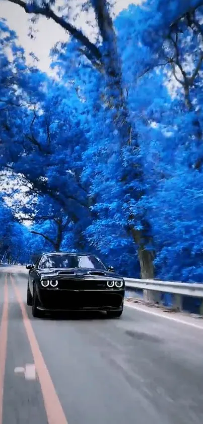 Black car driving through vibrant blue forest road.