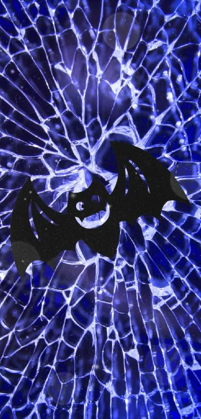 A black bat on a stunning blue fractured glass background.