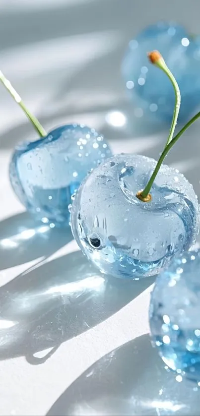 Close-up of translucent blue cherries with sunlight reflections.