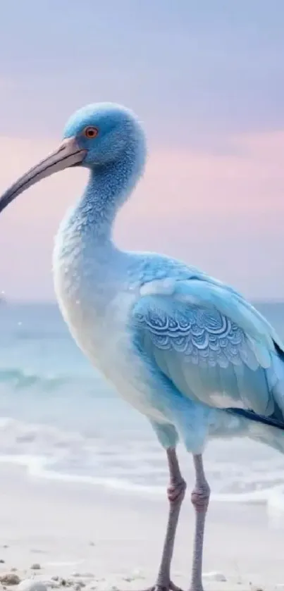 Blue heron standing on a sandy beach with ocean waves.