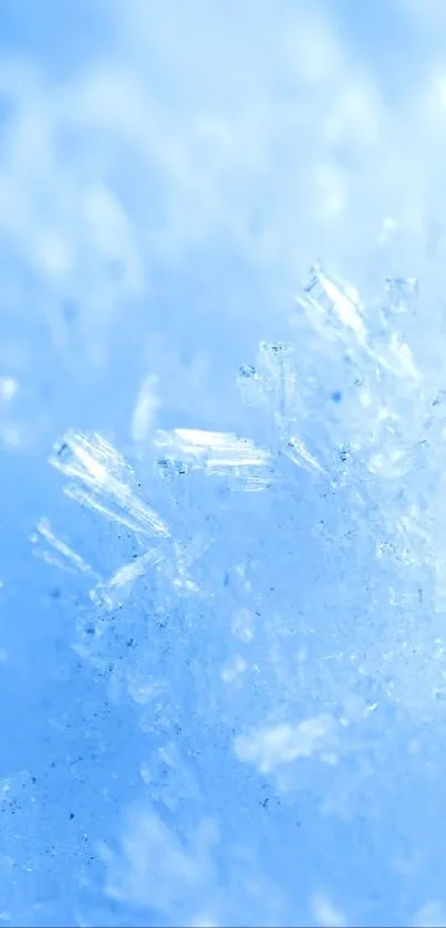 Close-up of light blue ice crystals.