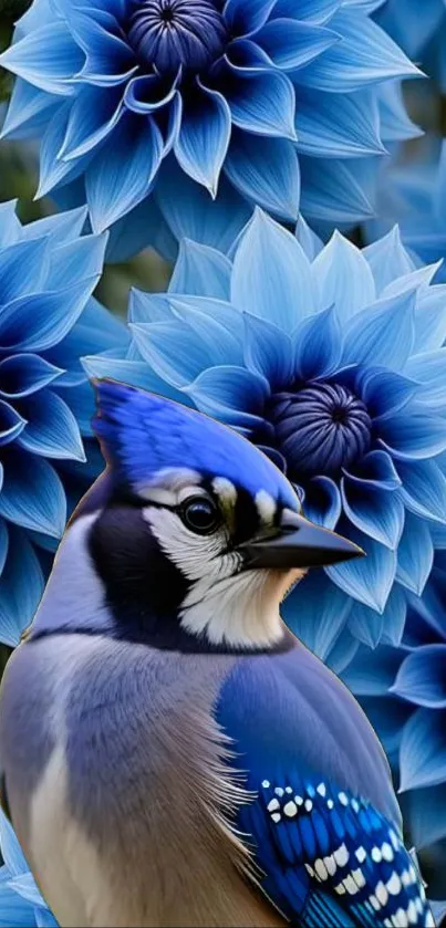 Blue jay with blue flowers phone wallpaper.