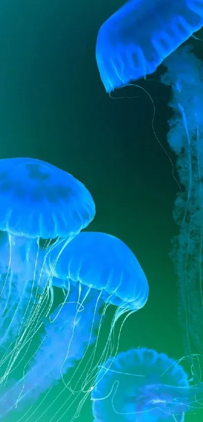 Glowing blue jellyfish in an oceanic setting, perfect for a mobile wallpaper.