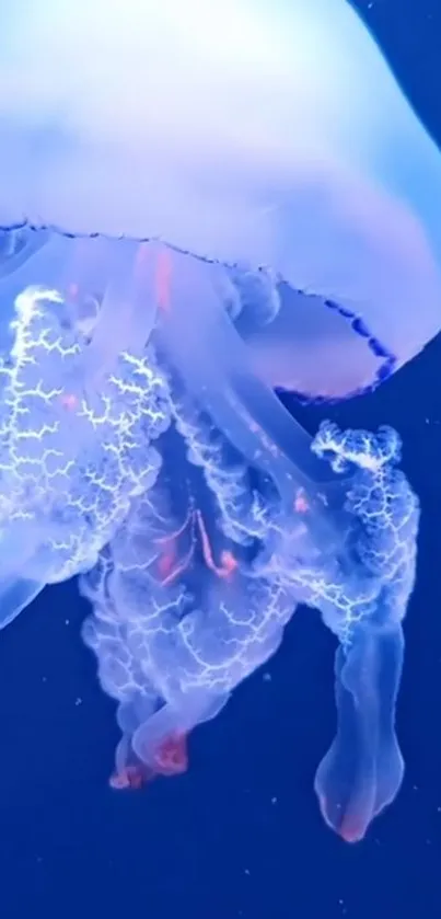 Blue jellyfish glowing in an underwater scene.