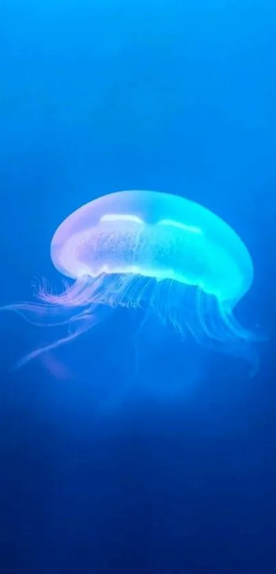 Glowing blue jellyfish in the ocean depths.