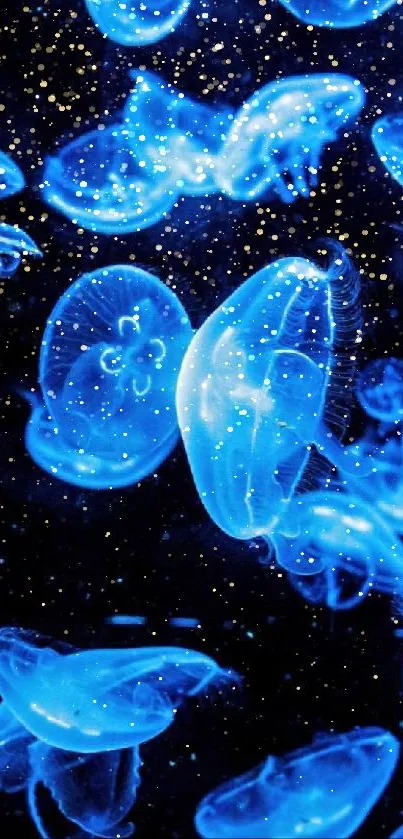 Luminous blue jellyfish swimming in a dark ocean background.