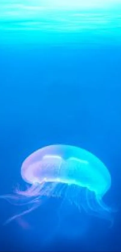 Blue jellyfish floating in serene ocean depths, perfect for mobile screens.