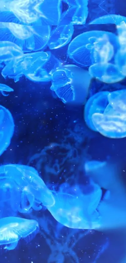 Glowing blue jellyfish wallpaper for mobile screen.