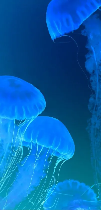 Blue jellyfish gracefully floating underwater on mobile wallpaper.