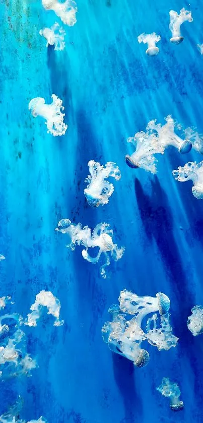 Ethereal jellyfish floating in a vibrant blue underwater scene, ideal for mobile wallpaper.