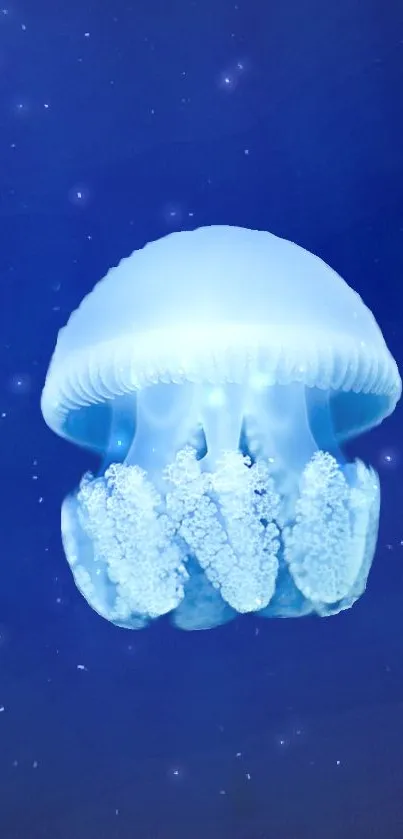 Luminous blue jellyfish floats in deep ocean.