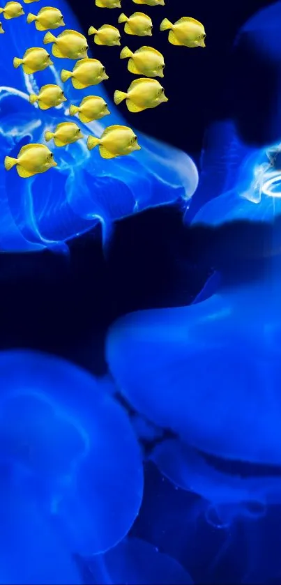 Blue jellyfish and yellow fish underwater wallpaper.