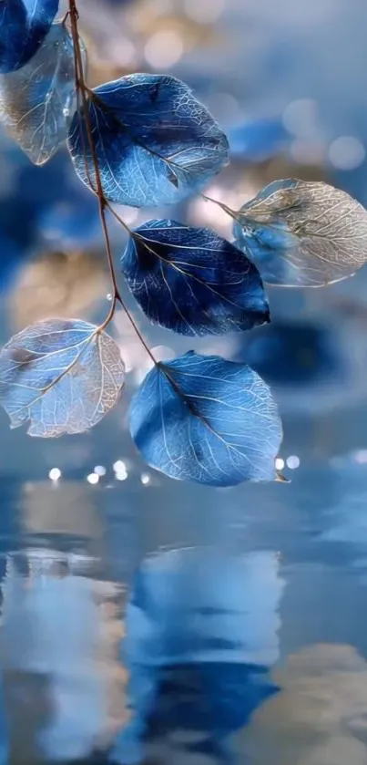 Beautiful blue leaves reflecting on calm water surface with a peaceful background.