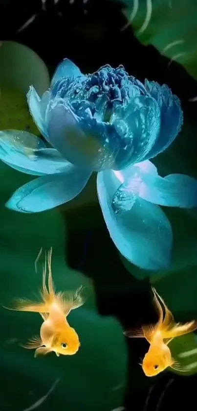 Tranquil blue lotus with swimming goldfish on a dark background for mobile wallpaper.