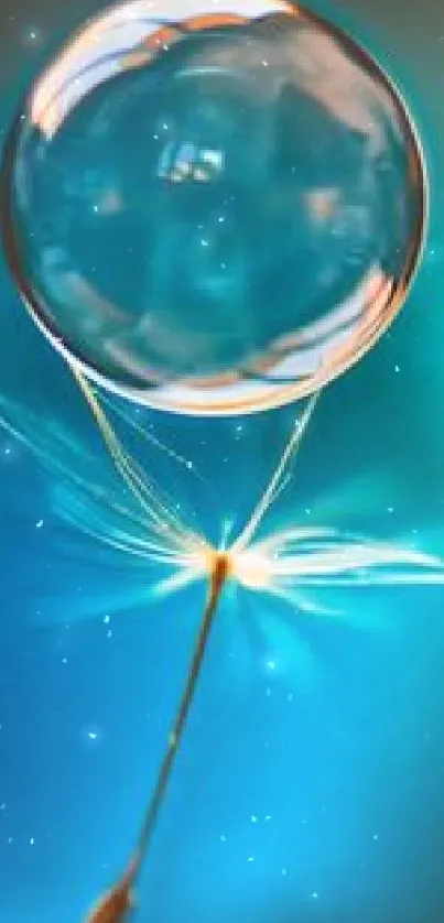 Macro image of dandelion seed with a bubble on a blue background.