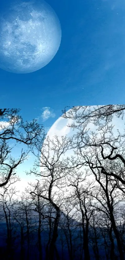 Moonlit forest under a blue sky with visible celestial bodies.