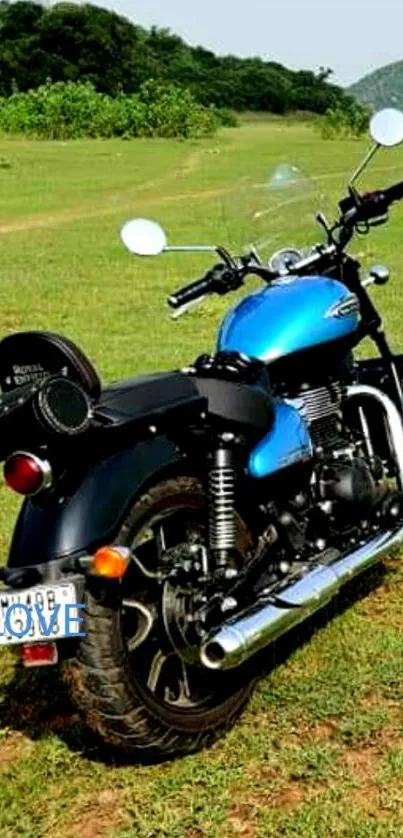 Blue motorcycle parked on a green field.