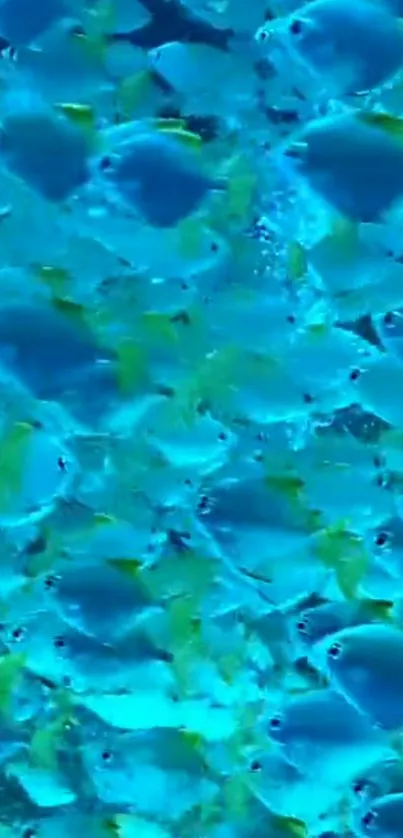 A vibrant school of blue fish swimming in the ocean, creating a stunning pattern.