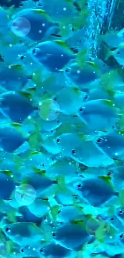 Vibrant blue fish underwater wallpaper with oceanic theme.