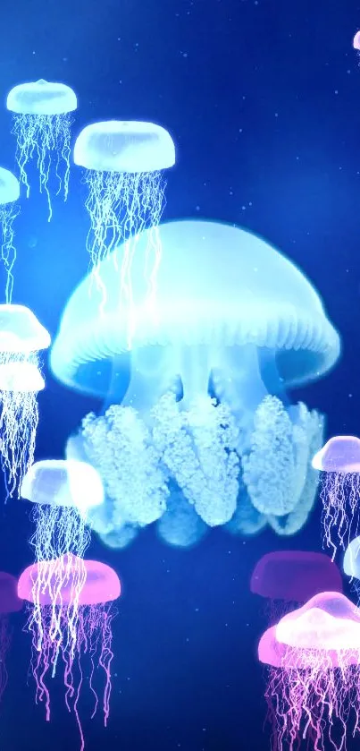 Serene jellyfish floating in deep blue ocean wallpaper.